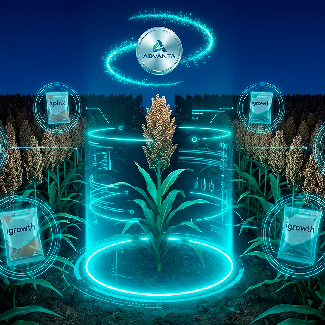 Advergame interactivo para el sector agroindustrial Advanta